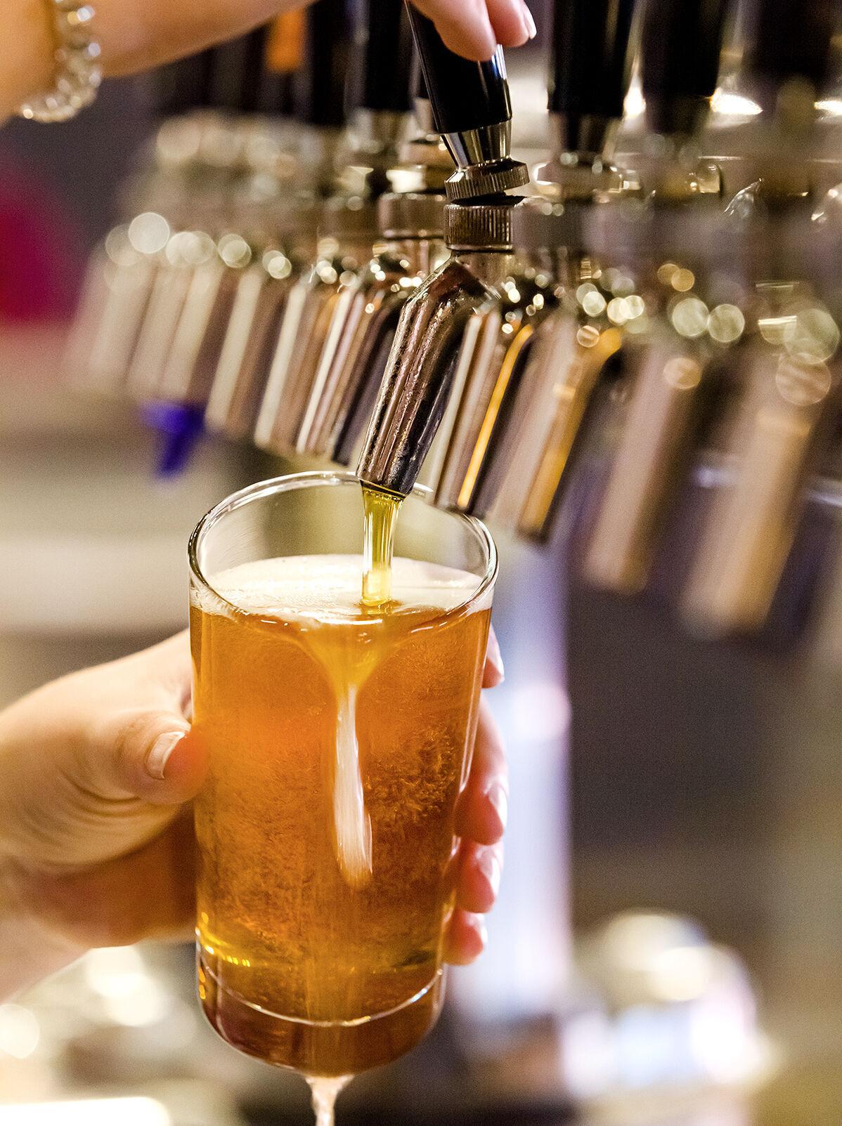 Urban Chestnut on tap 2